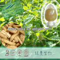 China Supply Radix Codonopsis Extract/Dang Shen Extract